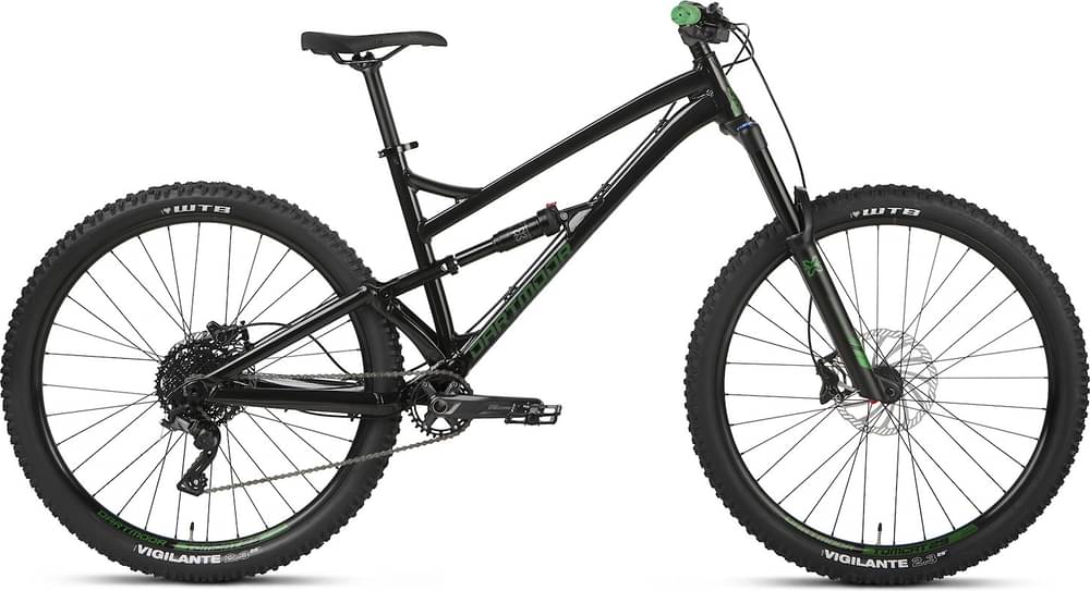 Dartmoor Blackbird Intro 29
