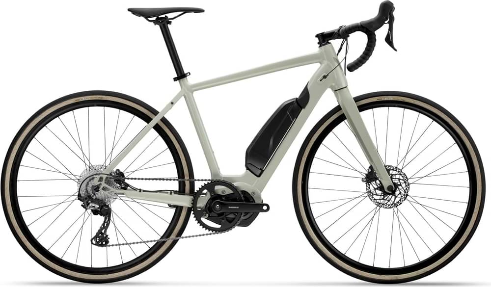 Devinci E-Hatchet GRX RX810 11S