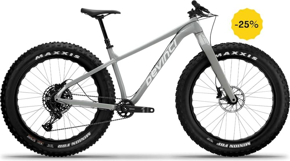 Devinci Minus NX 12S