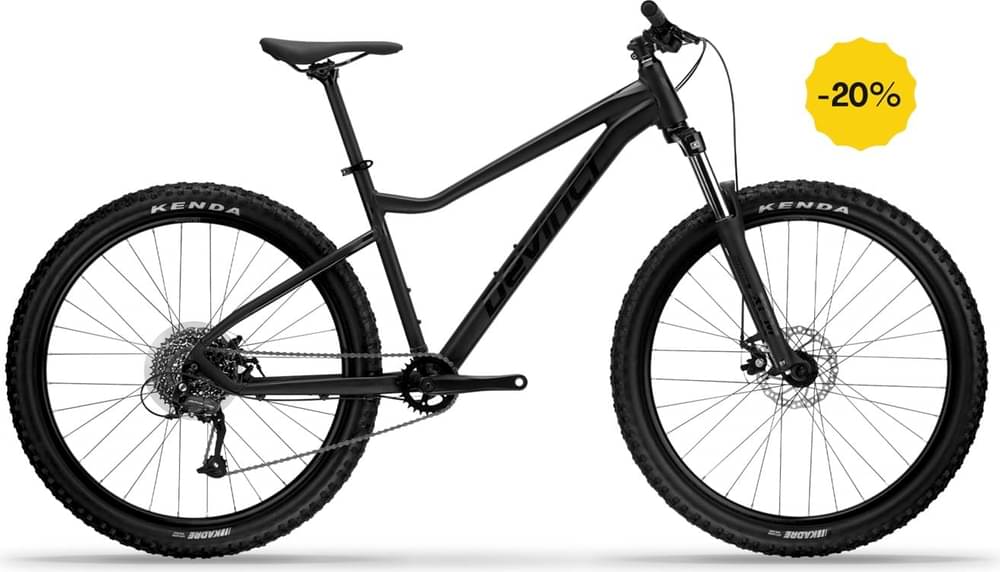 Devinci Blackbird Altus 8S