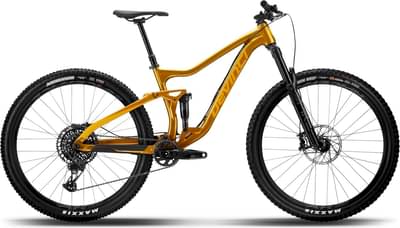 Devinci Django NX 12S
