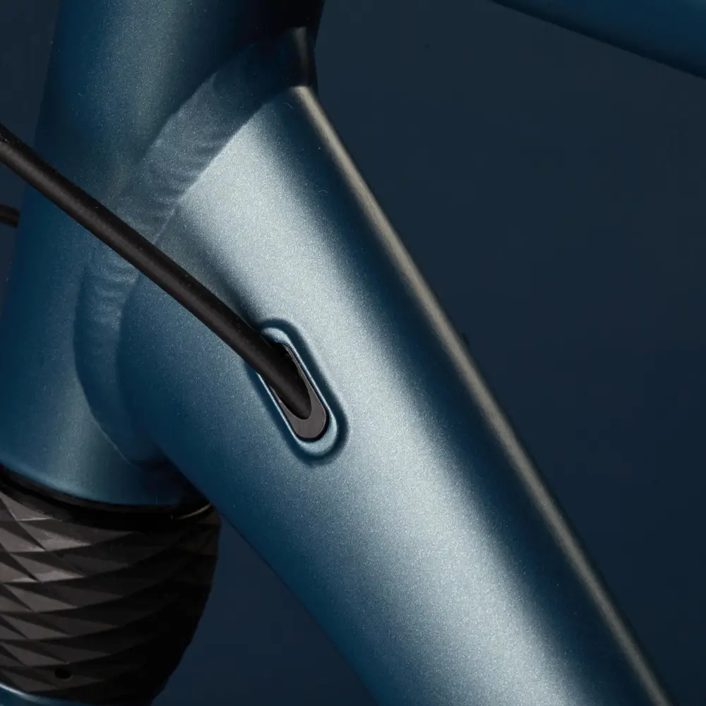 2023 ELOPS Long Distance Step-Over City Bike 900 – Specs, Comparisons ...