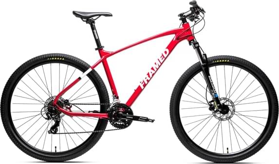 Framed Rendal Alloy - Mountain 29"