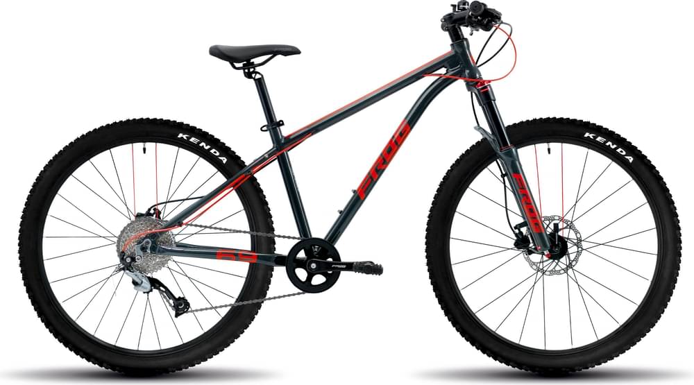 FROG MTB 69
