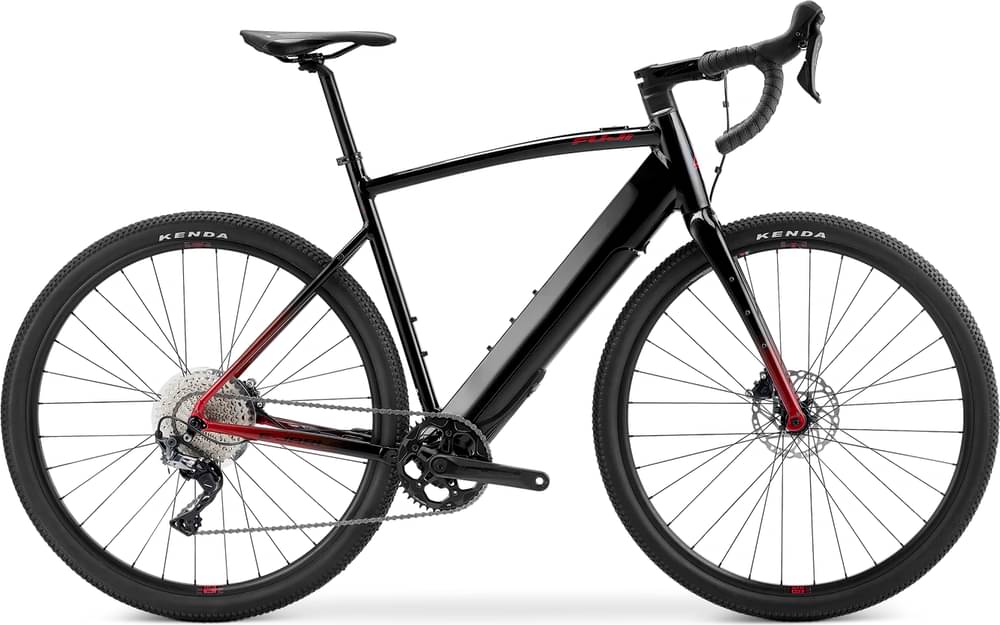 Fuji E-Jari