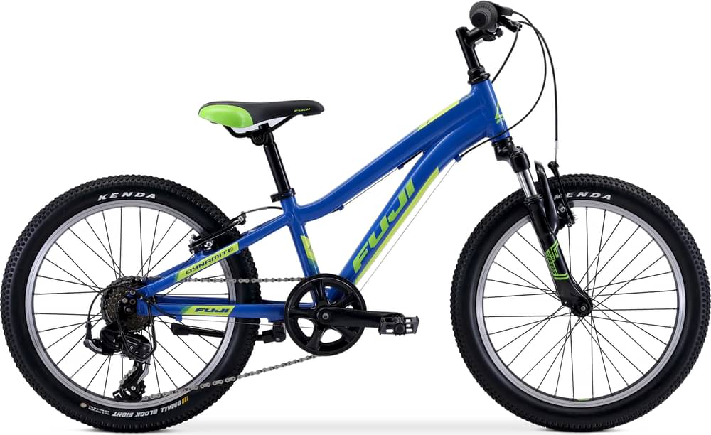 Fuji Dynamite 20