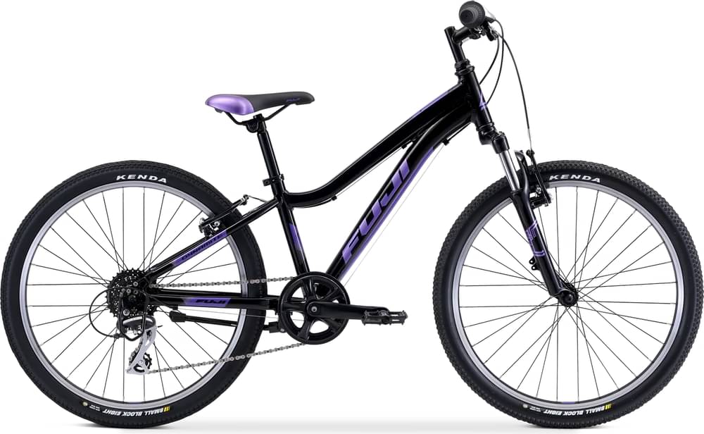 Fuji Dynamite 24 Comp