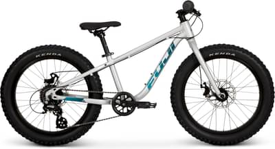 Fuji Dynamite 20+