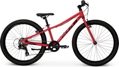 Fuji Dynamite 24