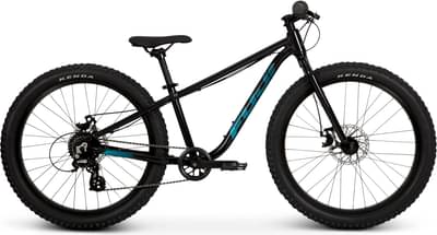 Fuji Dynamite 24+