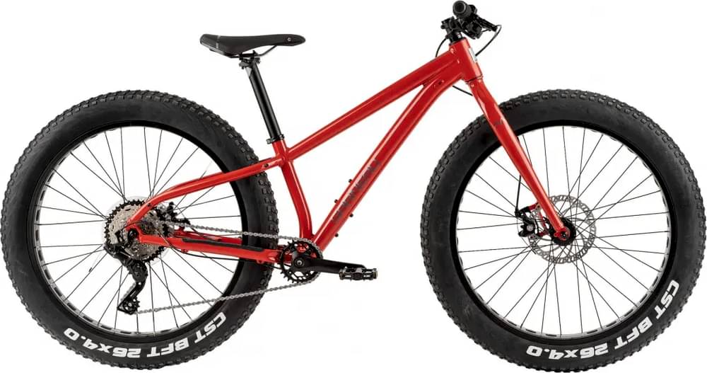 Garneau Big Will