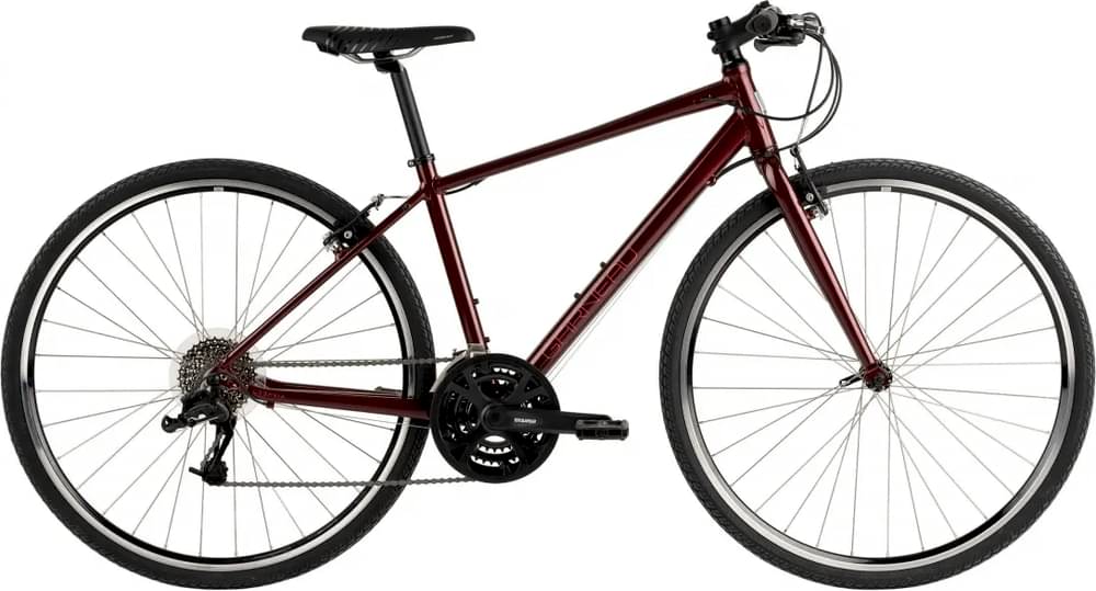 Garneau Women's Urbania 5 Bike