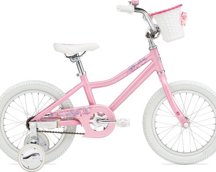 Giant Pudd'n (Pink)