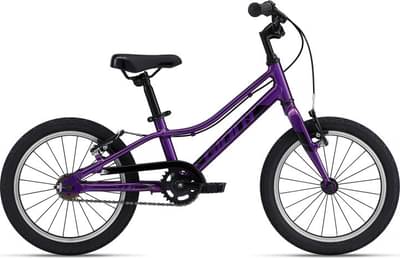 2022 Giant ARX 24 – Specs, Comparisons 