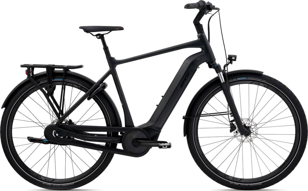 Giant DailyTour, E+ 2 GTS