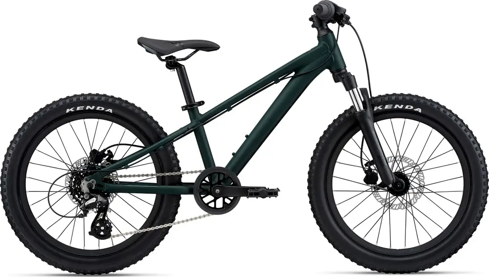 2022 Giant STP 20 FS – Specs, Comparisons, Reviews – 99 Spokes