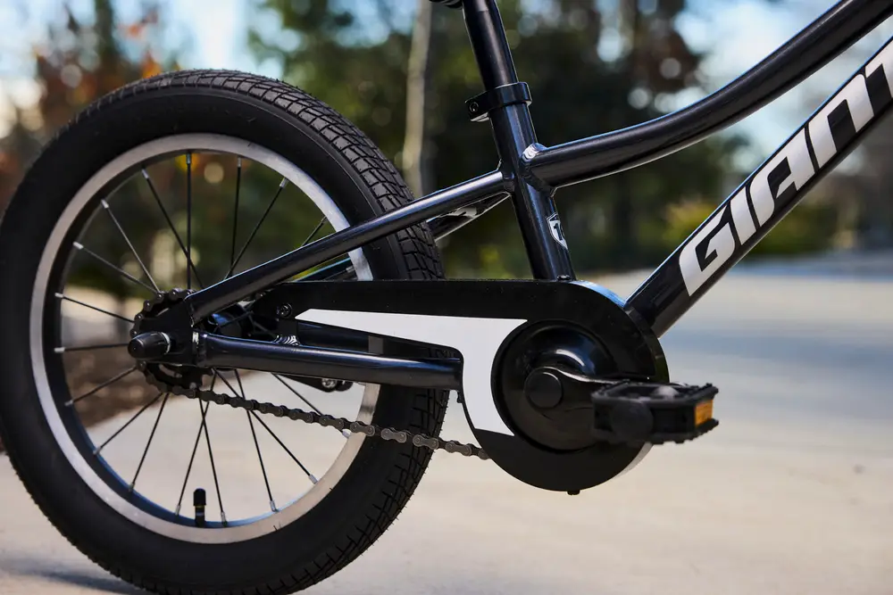 2024 Giant Animator C/B 16 – Specs, Comparisons, Reviews – 99 Spokes