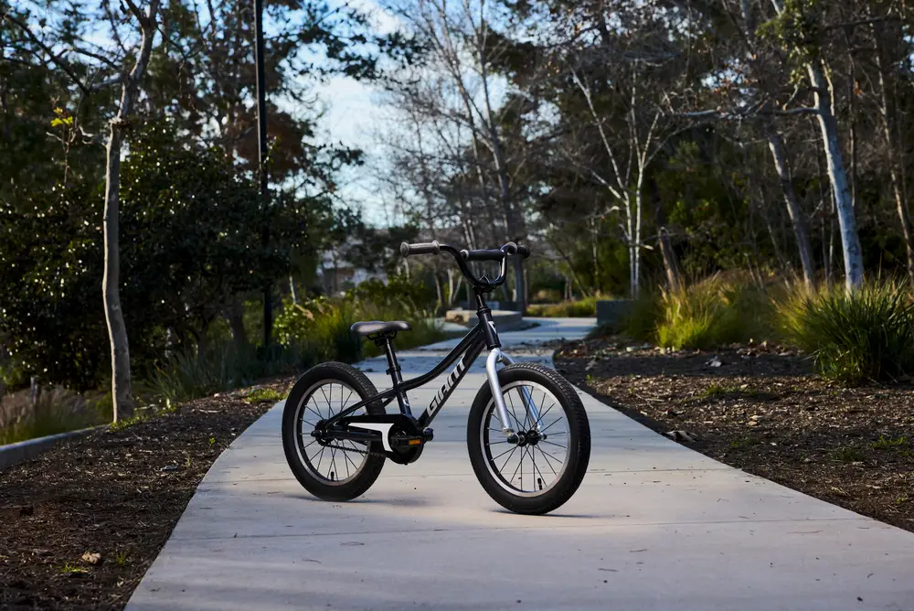 2024 Giant Animator C/B 16 – Specs, Comparisons, Reviews – 99 Spokes