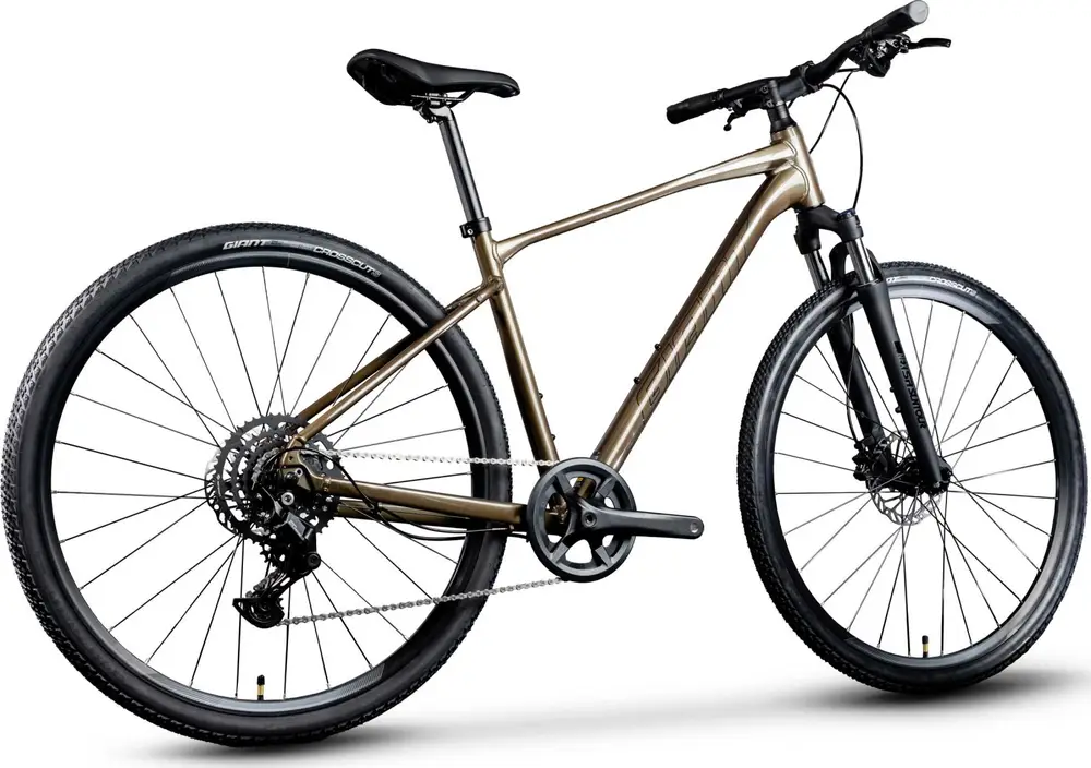 2024 Giant Roam Disc 2 – Specs, Comparisons, Reviews – 99 Spokes