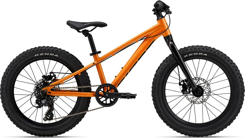 Giant STP 20
