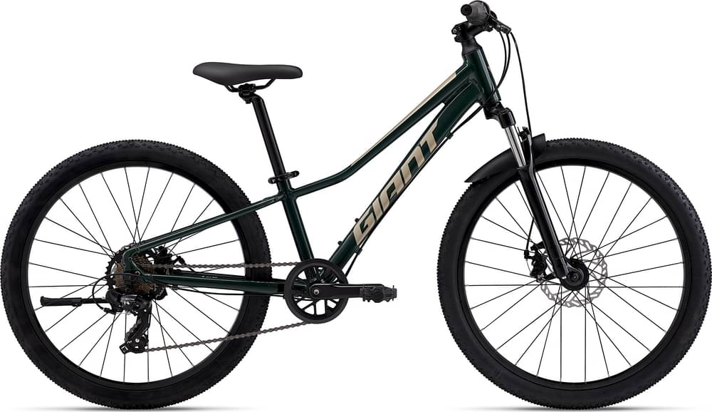 Giant Talon 24 Disc