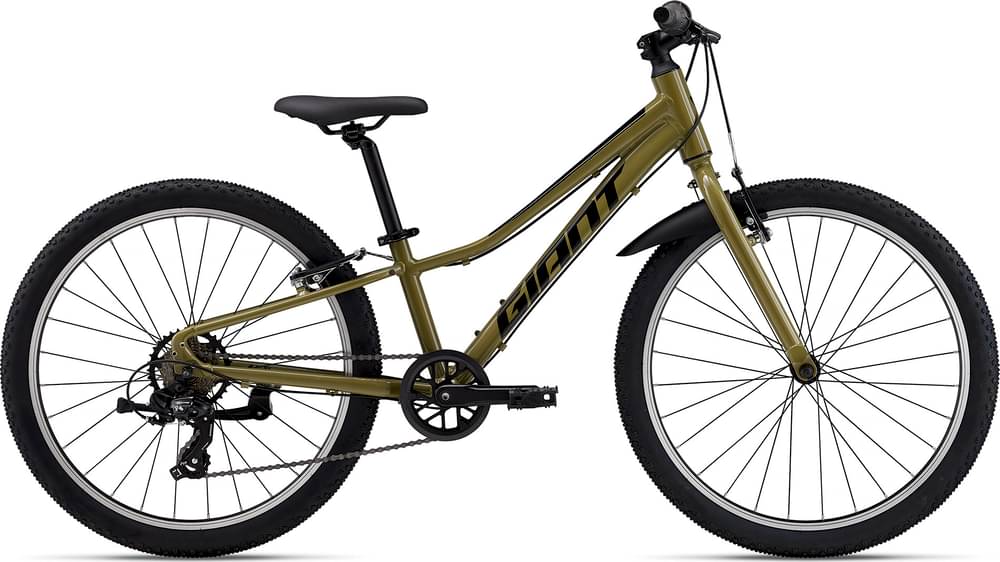 Giant Talon 24 Lite