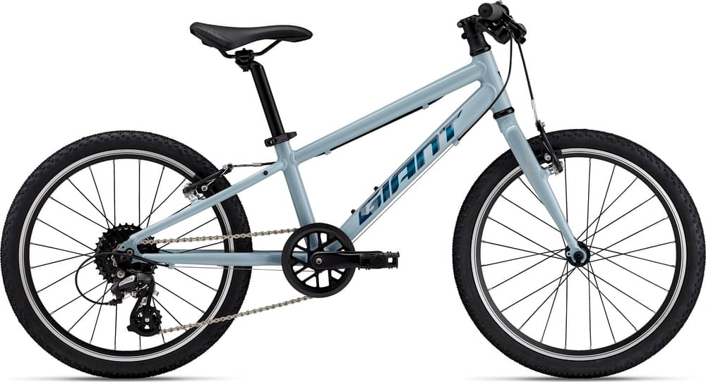2025 Giant ARX 20 – Specs, Comparisons, Reviews – 99 Spokes