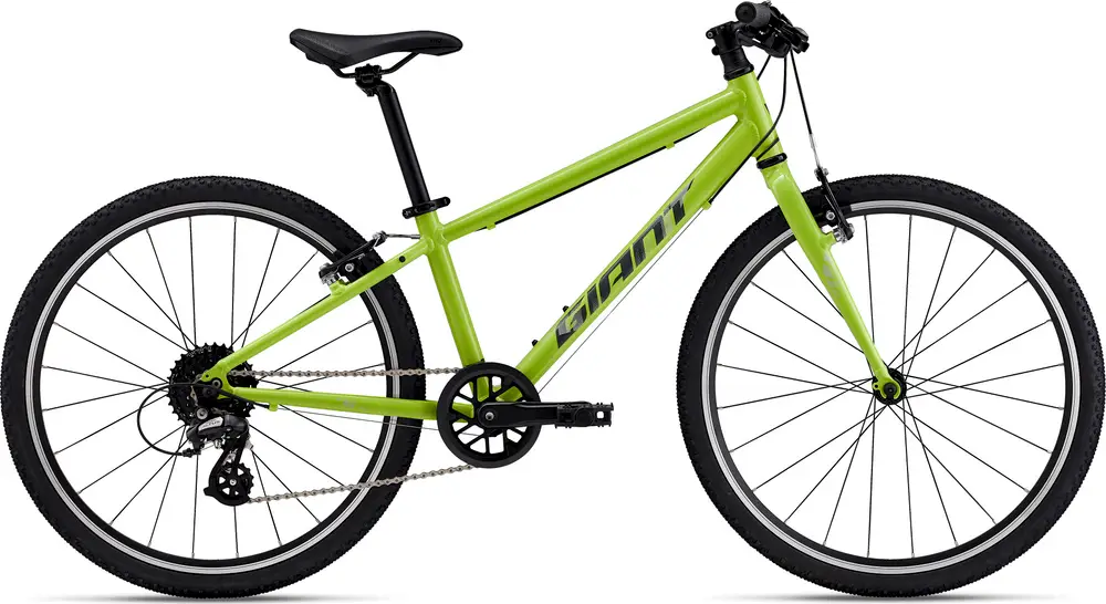 2025 Giant ARX 24 – Specs, Comparisons, Reviews – 99 Spokes
