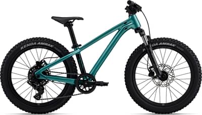 Giant STP 20 FS