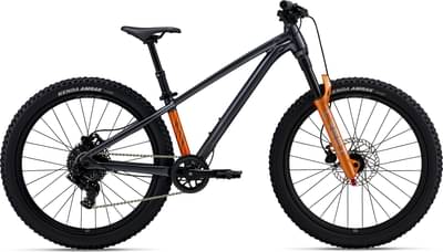 Giant STP 24