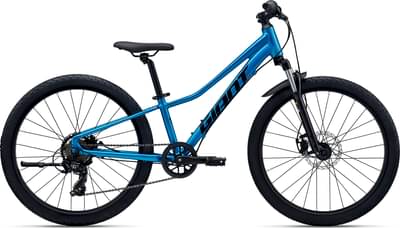 Giant Talon 24 Disc