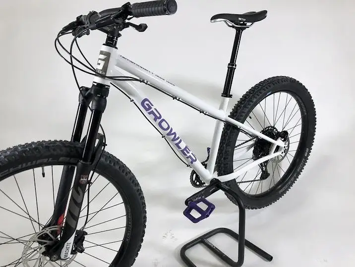 2020 Growler Bikes American Pale Ale Type 2 Specs, Comparisons