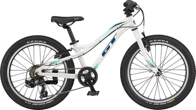 2022 GT Stomper Ace 20