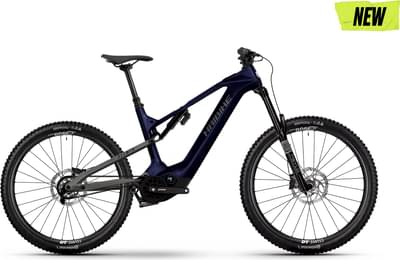 Haibike ALLMTN CF 10 TRN/IQ