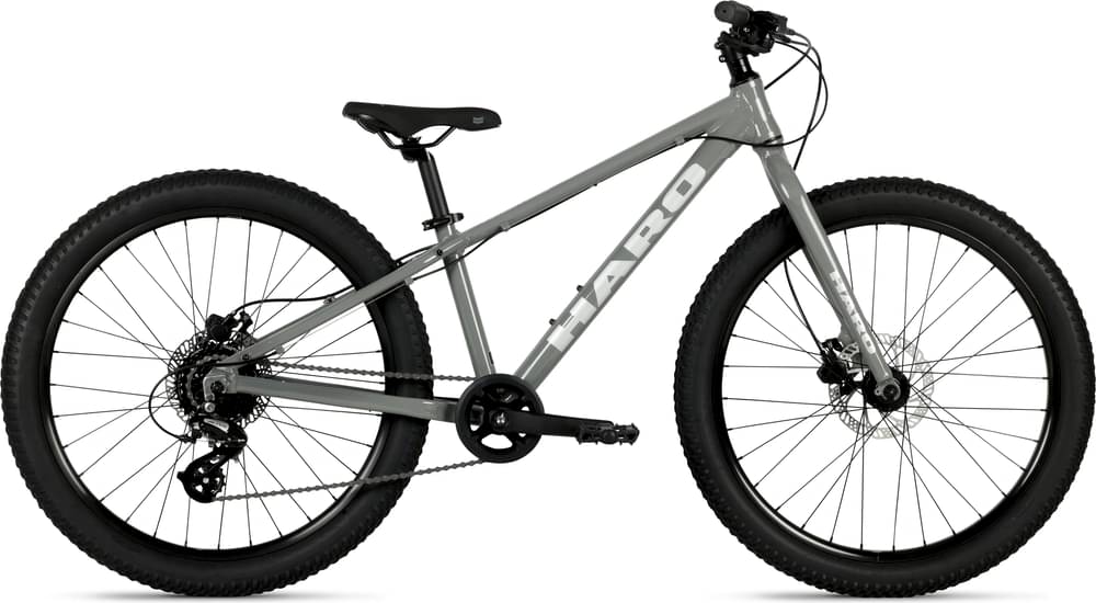Haro Flightline 20 Plus Disc 2024 — Price & Specs | 2BX