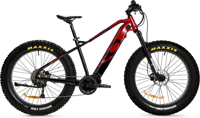 Igoelectric Outland - Torngat RS1