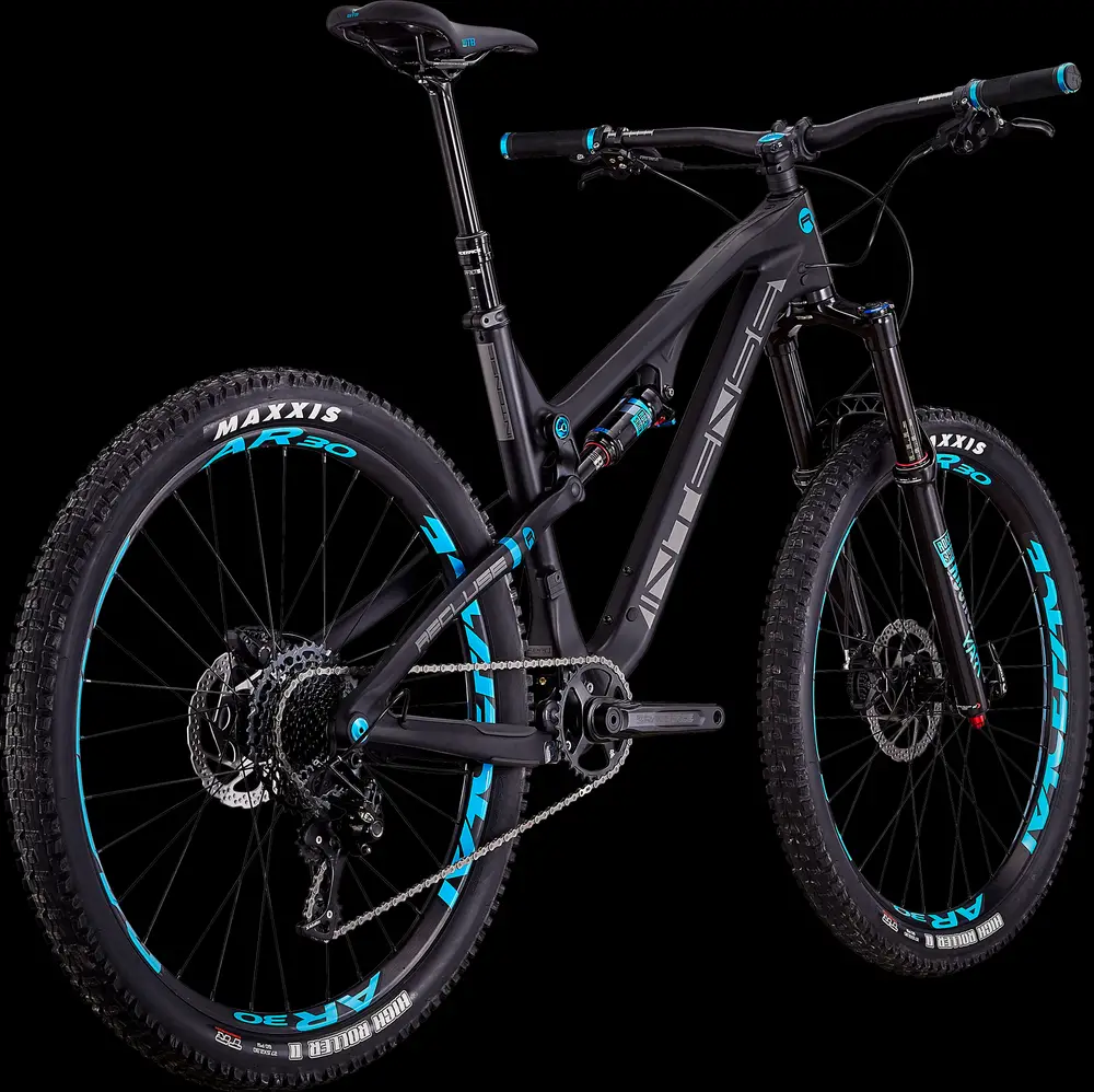 2019 intense recluse