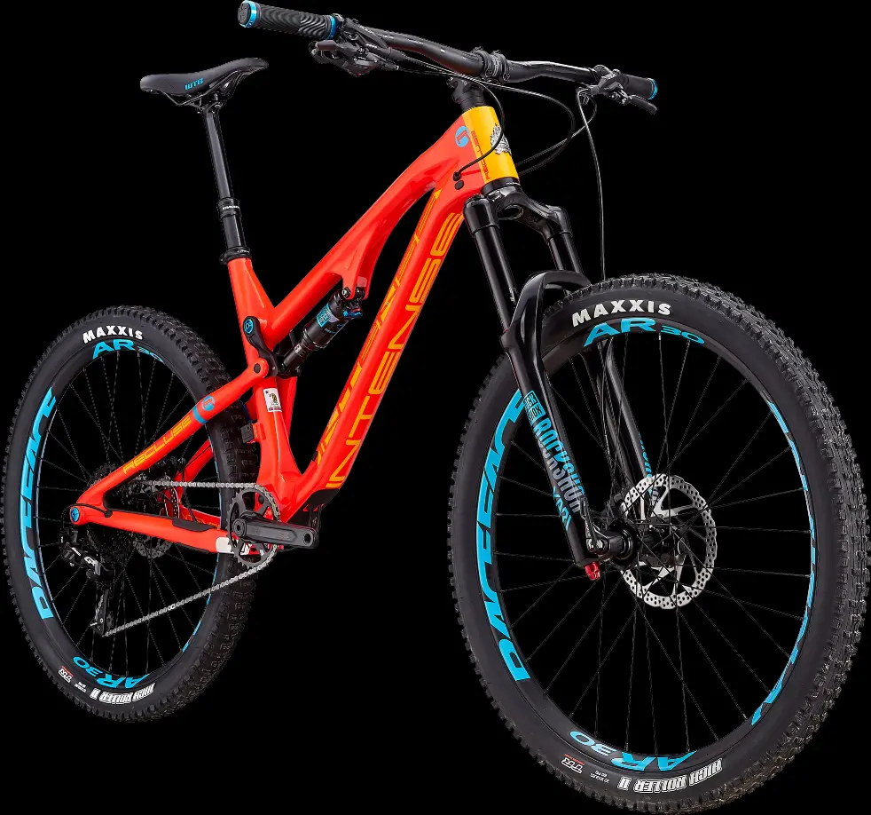 2019 intense recluse