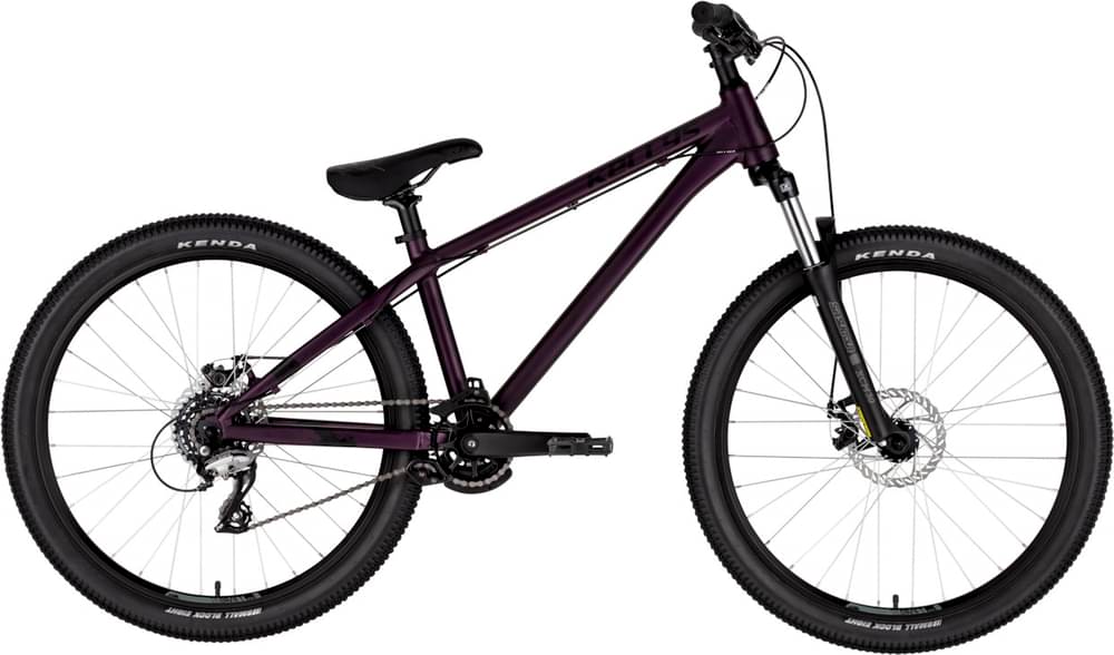 Kellys WHIP 10 2023