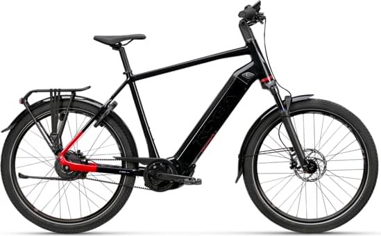 Koga PACE B10 Suspension