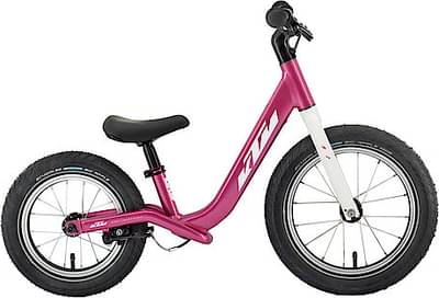 Ktm Wild Buddy 12