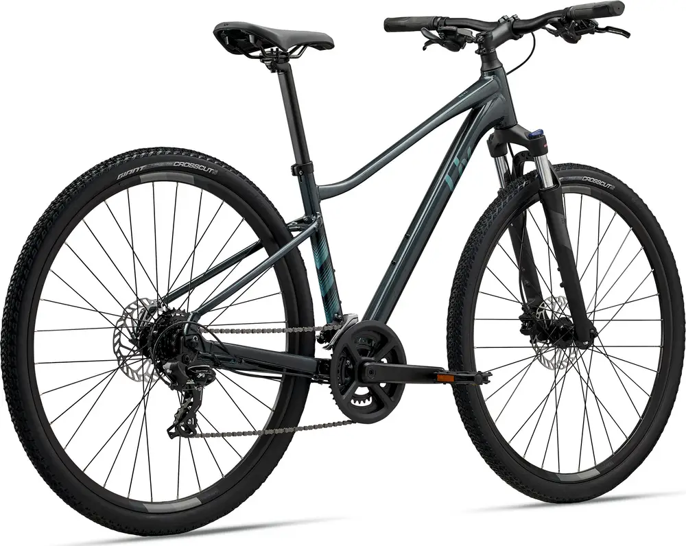 2025-liv-rove-4-specs-comparisons-reviews-99-spokes