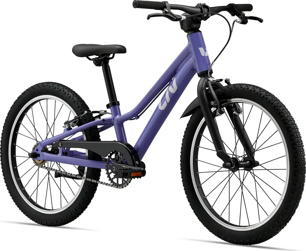 2025 Liv Tempt 20 SS – Specs, Comparisons, Reviews – 99 Spokes