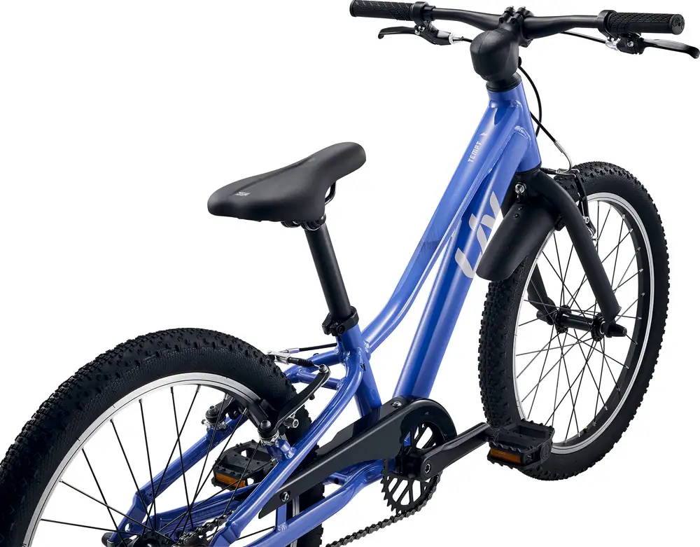 2025 Liv Tempt 20 SS – Specs, Comparisons, Reviews – 99 Spokes