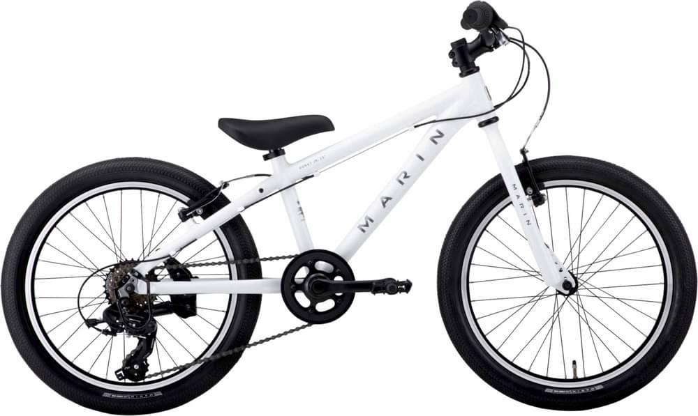 Marin Donky Jr. 20