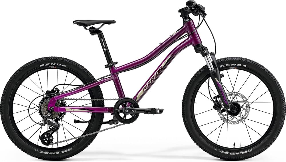 Merida MATTS J. CHAMPION 2022 — Price & Specs | 2BX