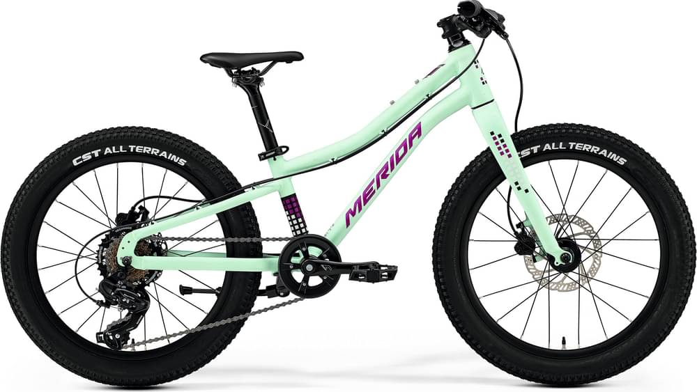 Merida MATTS J. CHAMPION 2025 — Price & Specs | 2BX