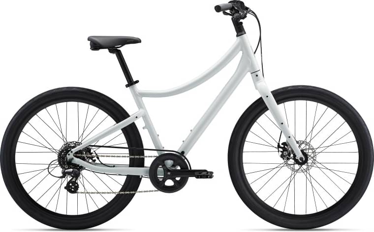 Momentum Vida