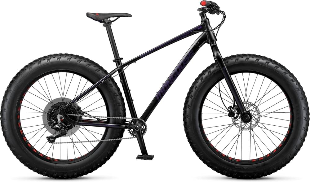Mongoose Argus Trail 26 2024 — Price & Specs | 2BX