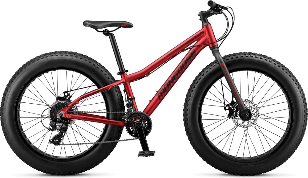 Mongoose Argus Trail 24